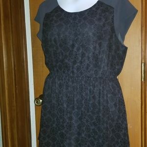 American Eagle Outfitters little black dress..CUTE